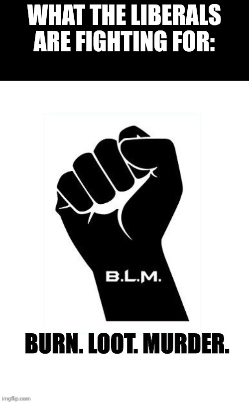 Liberals fighting for Burn Loot Murder | WHAT THE LIBERALS ARE FIGHTING FOR: | image tagged in memes | made w/ Imgflip meme maker