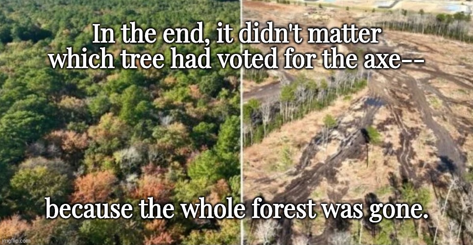 They Were All Gone | In the end, it didn't matter which tree had voted for the axe--; because the whole forest was gone. | made w/ Imgflip meme maker