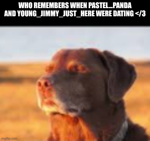 Fuck no | WHO REMEMBERS WHEN PASTEL...PANDA AND YOUNG_JIMMY_JUST_HERE WERE DATING </3 | image tagged in fuck yes | made w/ Imgflip meme maker
