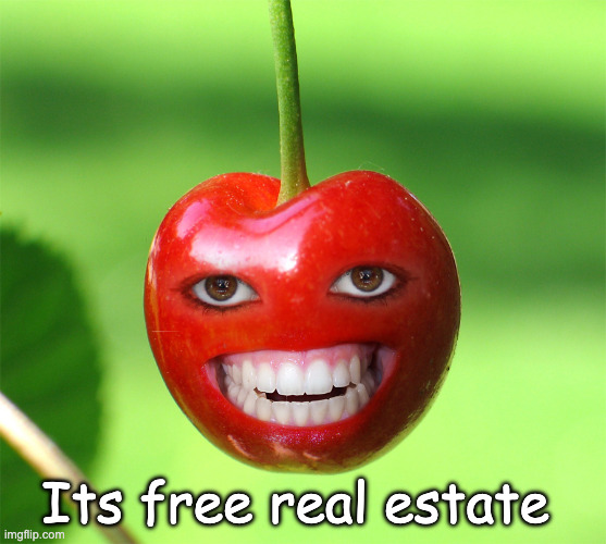 wowas | Its free real estate | image tagged in cherry,it's free real estate | made w/ Imgflip meme maker