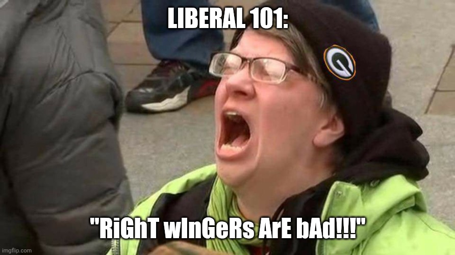 Liberal 101: Right wingers are bad | LIBERAL 101:; "RiGhT wInGeRs ArE bAd!!!" | image tagged in screaming protester | made w/ Imgflip meme maker