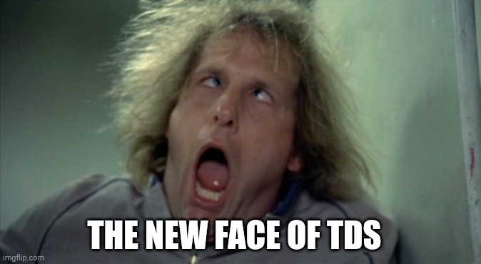 Scary Harry Meme | THE NEW FACE OF TDS | image tagged in memes,scary harry | made w/ Imgflip meme maker