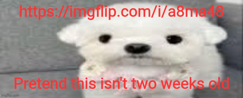 Dog stating | https://imgflip.com/i/a8ma48; Pretend this isn't two weeks old | image tagged in dog stating | made w/ Imgflip meme maker
