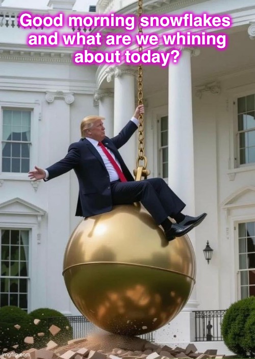 These same people said nothing when Hunter’s bag of coke was found inside the White House | Good morning snowflakes 
and what are we whining
about today? | image tagged in trump wrecking ball | made w/ Imgflip meme maker