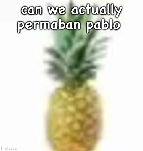 if i said what i actually want to happen to bro i would get sitebanned | can we actually permaban pablo | image tagged in pimeaple | made w/ Imgflip meme maker