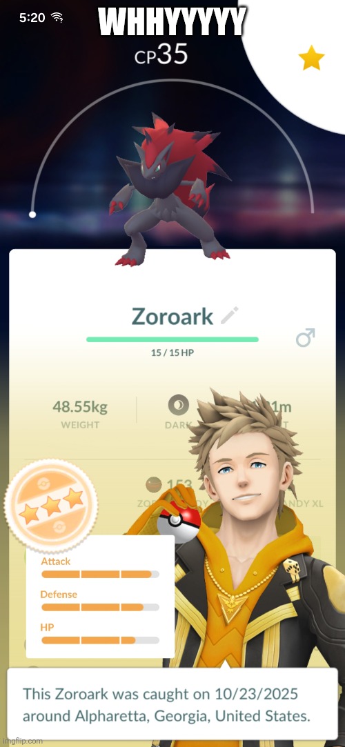 Good but small | WHHYYYYY | image tagged in video games | made w/ Imgflip meme maker