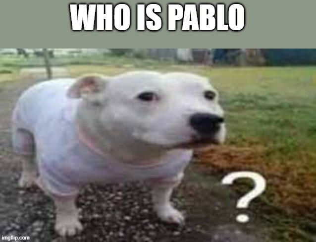 Dog question mark | WHO IS PABLO | image tagged in dog question mark | made w/ Imgflip meme maker