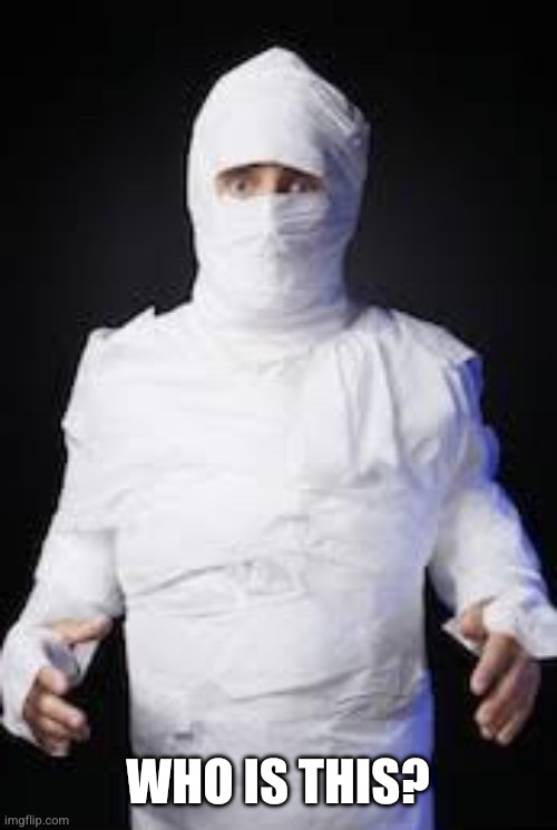 TP Mummy | WHO IS THIS? | image tagged in tp mummy | made w/ Imgflip meme maker