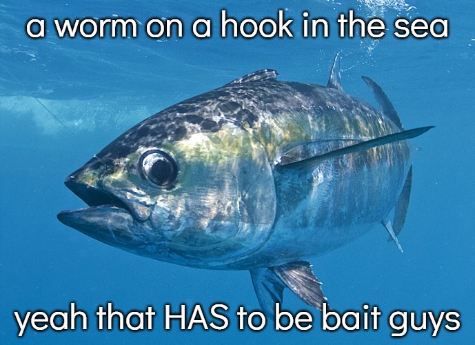 Tuna fish | a worm on a hook in the sea; yeah that HAS to be bait guys | image tagged in tuna fish | made w/ Imgflip meme maker