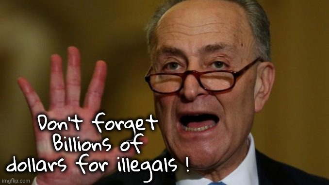 Chuck Schumer | Don't forget Billions of dollars for illegals ! | image tagged in chuck schumer | made w/ Imgflip meme maker