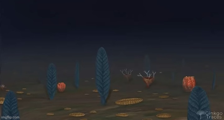 ㅤ | image tagged in qw | made w/ Imgflip meme maker