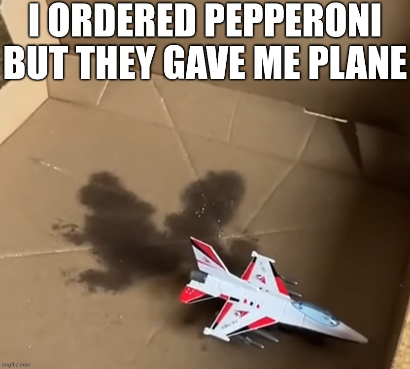 I ordered pepperoni but they gave me plane | I ORDERED PEPPERONI BUT THEY GAVE ME PLANE | image tagged in plane in pizza box,plane,pizza,airplane,random,pun | made w/ Imgflip meme maker