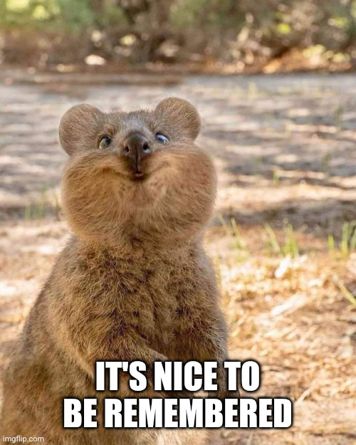 Crazy Wombat | IT'S NICE TO BE REMEMBERED | image tagged in crazy wombat | made w/ Imgflip meme maker