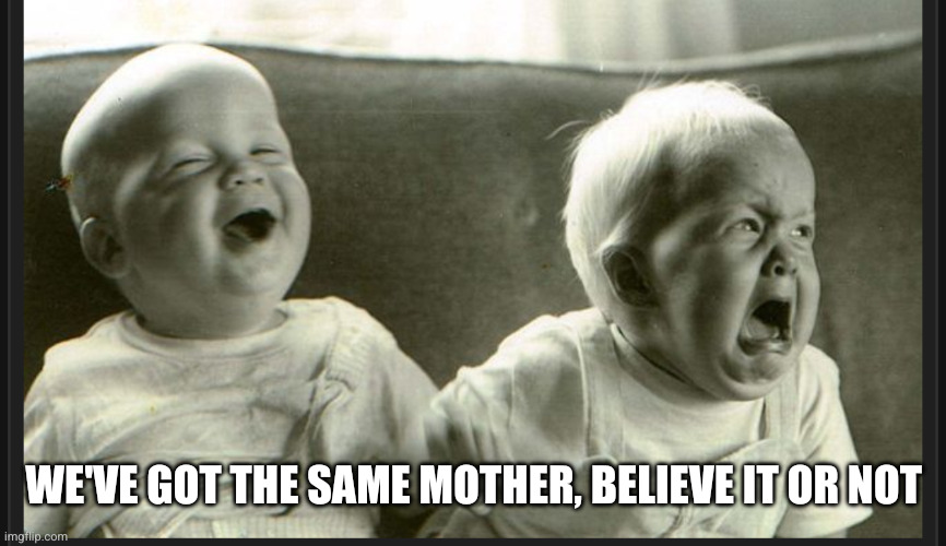 Laugh cry twin babies | WE'VE GOT THE SAME MOTHER, BELIEVE IT OR NOT | image tagged in laugh cry twin babies | made w/ Imgflip meme maker
