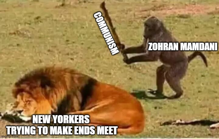 Monkey lion | COMMUNISM; ZOHRAN MAMDANI; NEW YORKERS  TRYING TO MAKE ENDS MEET | image tagged in monkey lion,democrats,communism,new york,muslim,mayor | made w/ Imgflip meme maker