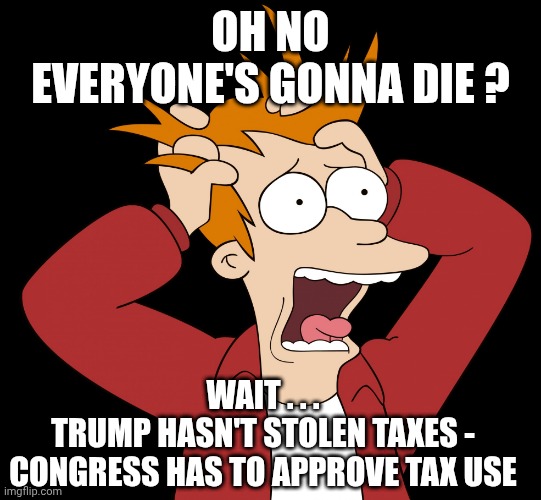 Futurama Fry Screaming | OH NO
EVERYONE'S GONNA DIE ? WAIT . . .
TRUMP HASN'T STOLEN TAXES -
CONGRESS HAS TO APPROVE TAX USE | image tagged in futurama fry screaming | made w/ Imgflip meme maker