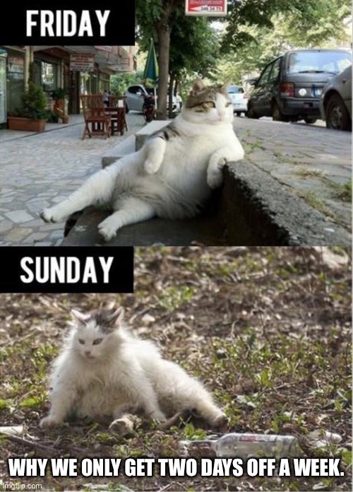 Two days off | WHY WE ONLY GET TWO DAYS OFF A WEEK. | image tagged in two days off | made w/ Imgflip meme maker