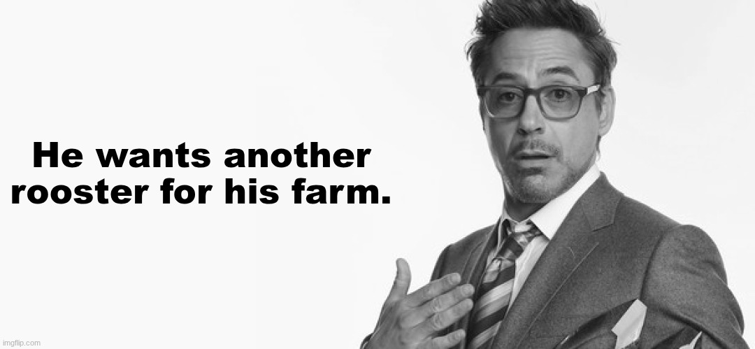 I'm Stuff | He wants another rooster for his farm. | image tagged in i'm stuff | made w/ Imgflip meme maker