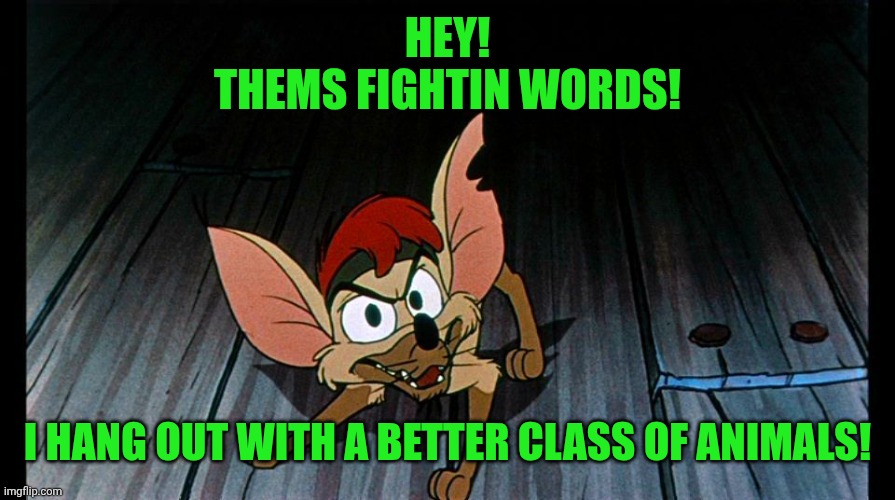 Chihuahua | HEY!
THEMS FIGHTIN WORDS! I HANG OUT WITH A BETTER CLASS OF ANIMALS! | image tagged in chihuahua | made w/ Imgflip meme maker