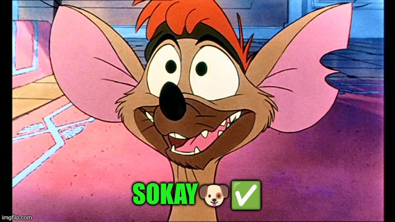 Chihuahua | SOKAY?✅ | image tagged in chihuahua | made w/ Imgflip meme maker