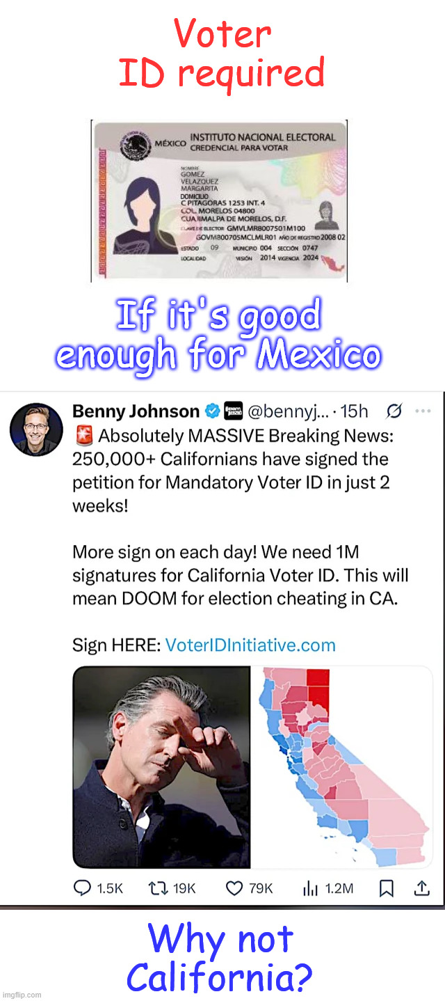 Sign the petition for California voter ID | Voter ID required; If it's good enough for Mexico; Why not California? | image tagged in stop election cheating,demand voter id,california | made w/ Imgflip meme maker