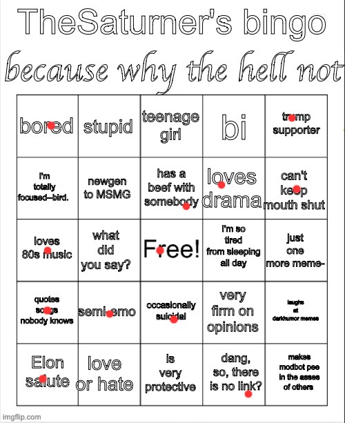 Saturner's Bingo Thingy | image tagged in saturner's bingo thingy | made w/ Imgflip meme maker