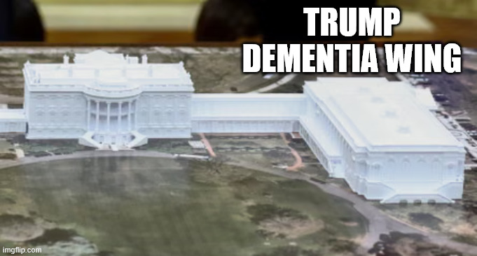 Trump Ballroom | TRUMP DEMENTIA WING | image tagged in trump ballroom | made w/ Imgflip meme maker