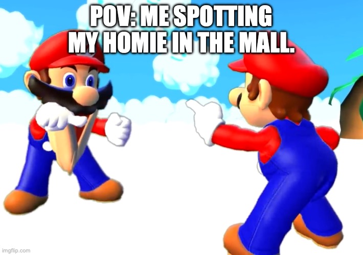 POV: Me spotting my homie in the mall. | POV: ME SPOTTING MY HOMIE IN THE MALL. | image tagged in mario s pointing at each other | made w/ Imgflip meme maker