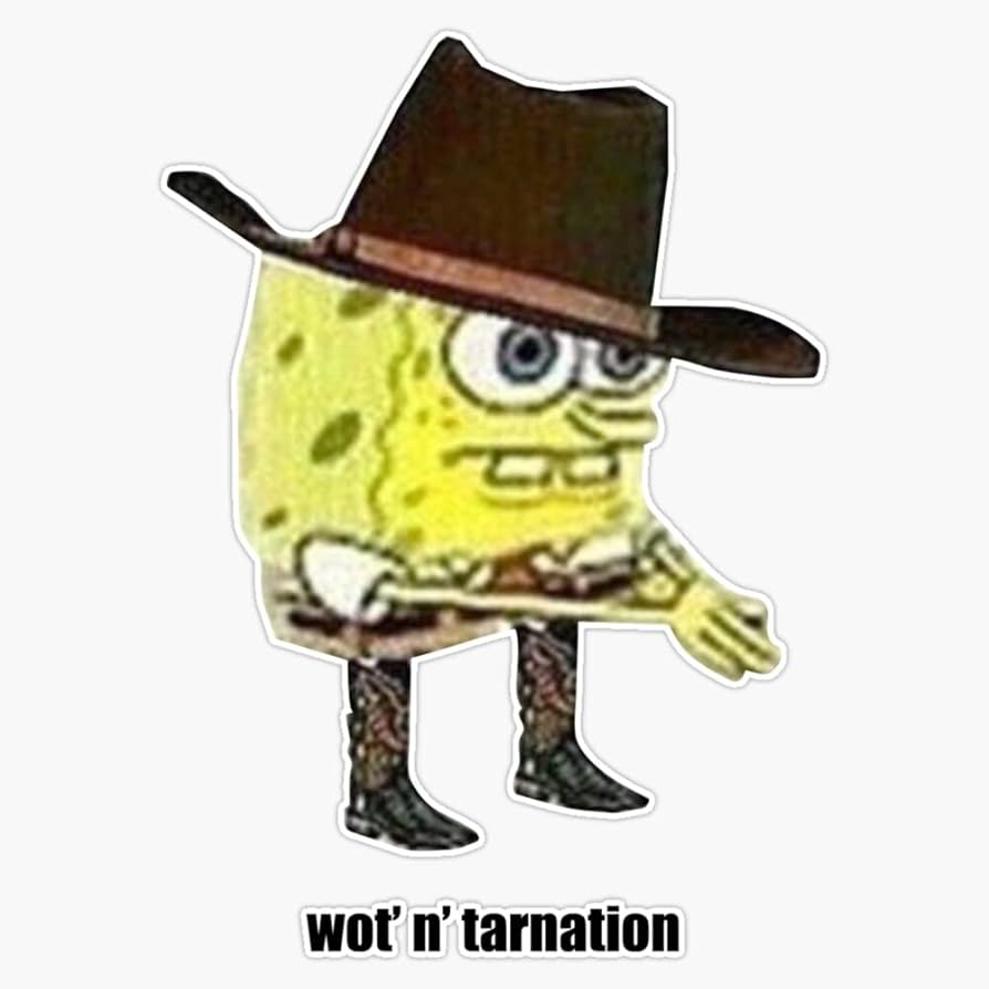 wot' n' tarnation Blank Meme Template