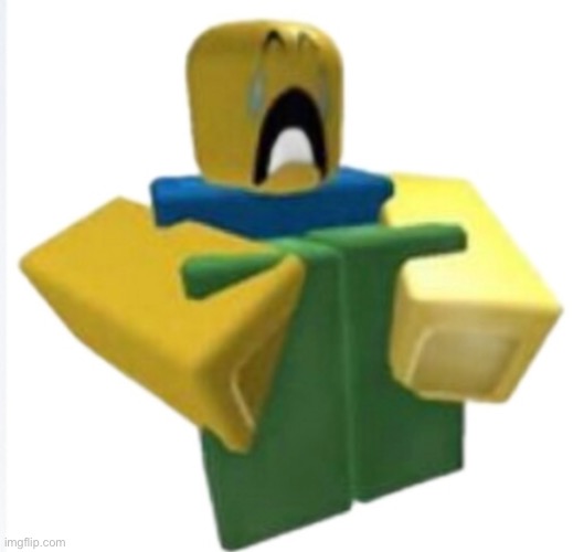 crying roblox noob | image tagged in crying roblox noob | made w/ Imgflip meme maker