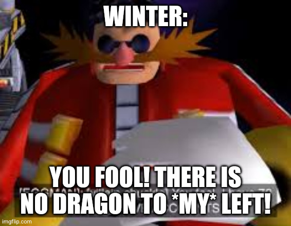 Eggman Alternative Accounts | WINTER: YOU FOOL! THERE IS NO DRAGON TO *MY* LEFT! | image tagged in eggman alternative accounts | made w/ Imgflip meme maker