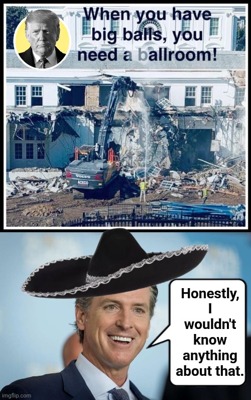Gavin Newsom doesn't have big balls | Honestly, I wouldn't know anything about that. | image tagged in gavin newsom,trump,balls | made w/ Imgflip meme maker
