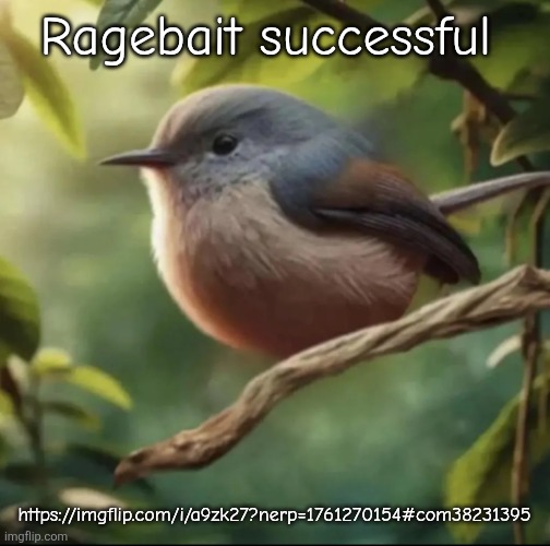 Upvote and give positive  comments lmfaoo | Ragebait successful; https://imgflip.com/i/a9zk27?nerp=1761270154#com38231395 | image tagged in no balls | made w/ Imgflip meme maker