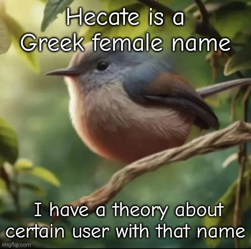 No balls | Hecate is a Greek female name; I have a theory about certain user with that name | image tagged in no balls | made w/ Imgflip meme maker