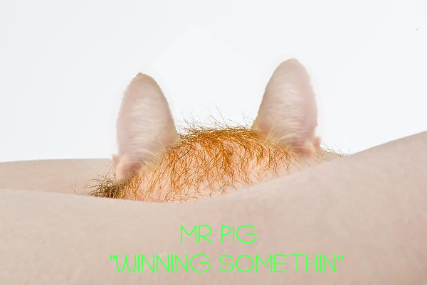 MR PIG - WINNING SOMETHING Blank Meme Template