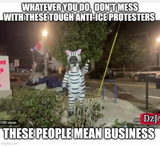 They Bad | WHATEVER YOU DO,  DON'T MESS WITH THESE TOUGH ANTI-ICE PROTESTERS; THESE PEOPLE MEAN BUSINESS; DzJ | image tagged in you've been invited to dumbass university,libtards,morons,losers | made w/ Imgflip meme maker