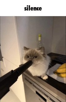 Silence Blank Meme Template