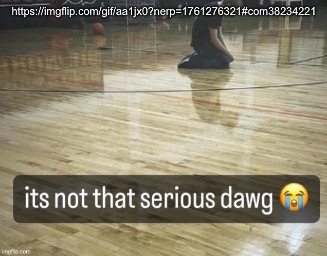 it's not that serious dawg | https://imgflip.com/gif/aa1jx0?nerp=1761276321#com38234221 | image tagged in it's not that serious dawg | made w/ Imgflip meme maker
