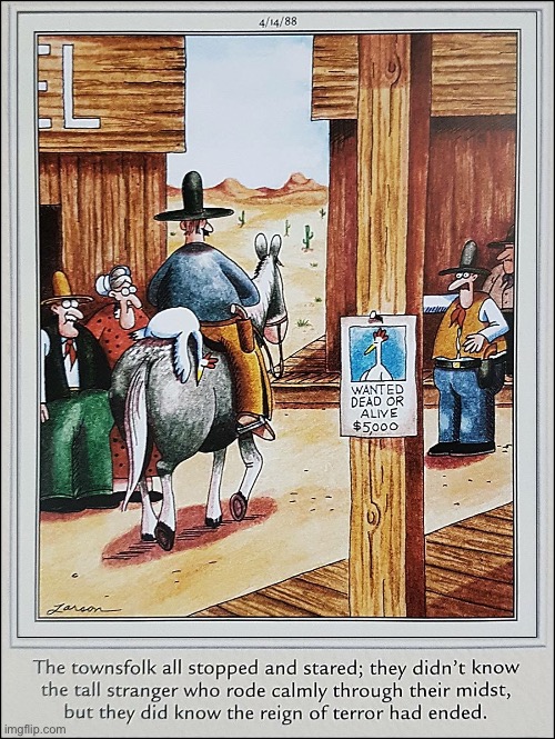 That chicken was one tough hombre… | image tagged in the far side,old west,bounty,chicken,bad bird,tough hombre | made w/ Imgflip meme maker