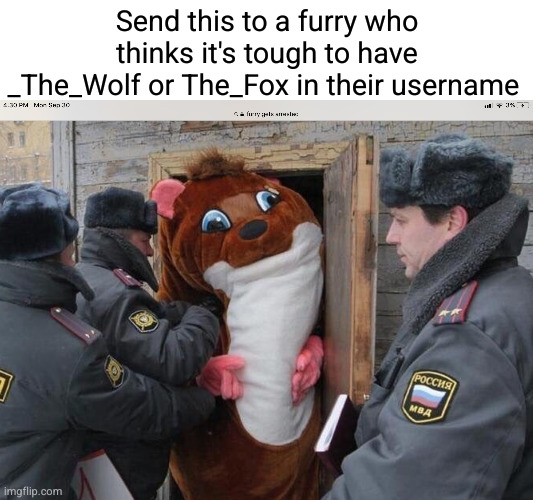 send them is to your fatherless aquantances | Send this to a furry who thinks it's tough to have _The_Wolf or The_Fox in their username | image tagged in furry gets arrested,fox,wolf,furries,stupid people,idiots | made w/ Imgflip meme maker