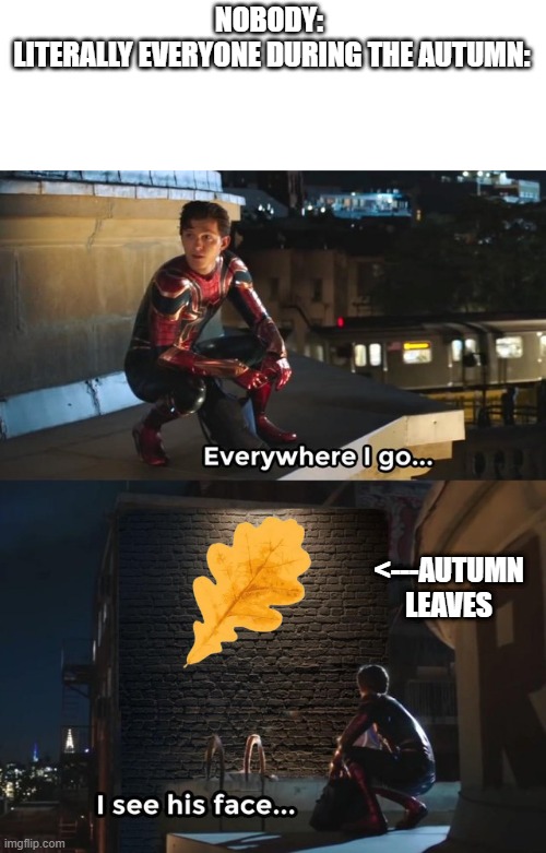 This one is seasonal | NOBODY: 
LITERALLY EVERYONE DURING THE AUTUMN:; <---AUTUMN LEAVES | image tagged in everywhere i go i see his face | made w/ Imgflip meme maker