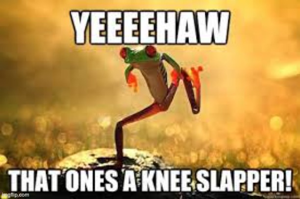 That's a real knee slapper | image tagged in that's a real knee slapper | made w/ Imgflip meme maker
