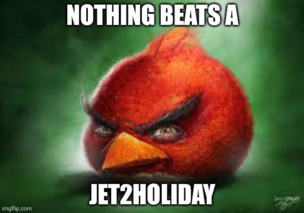 Realistic Red Angry Birds | NOTHING BEATS A; JET2HOLIDAY | image tagged in realistic red angry birds | made w/ Imgflip meme maker