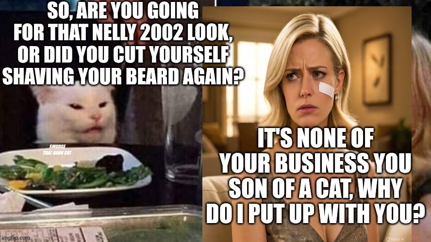 Reverse Smudge that darn cat | SO, ARE YOU GOING FOR THAT NELLY 2002 LOOK, OR DID YOU CUT YOURSELF SHAVING YOUR BEARD AGAIN? IT'S NONE OF YOUR BUSINESS YOU SON OF A CAT, WHY DO I PUT UP WITH YOU? | image tagged in reverse smudge that darn cat | made w/ Imgflip meme maker