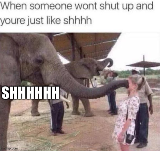 Shhhhhjj | SHHHHHH | image tagged in shut up,talking,elephant,elephun | made w/ Imgflip meme maker