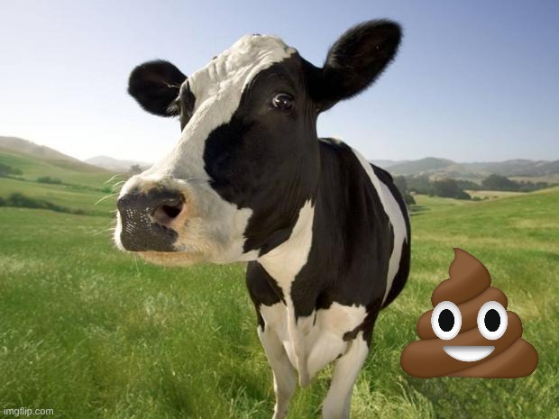 cow | image tagged in cow | made w/ Imgflip meme maker