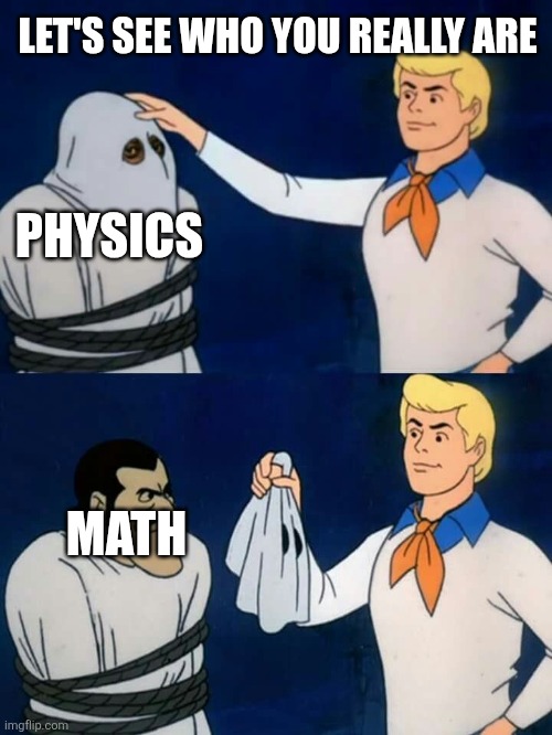 Physics wrapper of math | LET'S SEE WHO YOU REALLY ARE; PHYSICS; MATH | image tagged in scooby doo mask reveal,mask | made w/ Imgflip meme maker