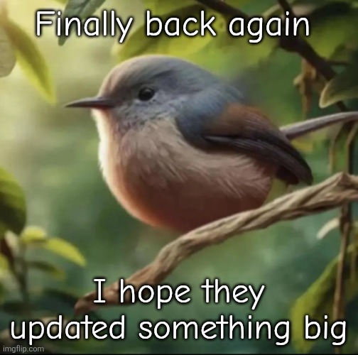 No balls | Finally back again; I hope they updated something big | image tagged in no balls | made w/ Imgflip meme maker