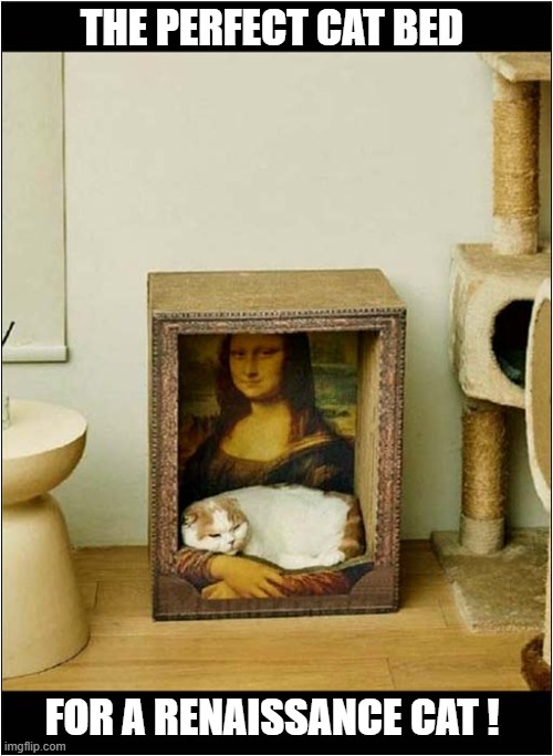 Snuggling Up To Mona Lisa | THE PERFECT CAT BED; FOR A RENAISSANCE CAT ! | image tagged in cats,cat bed,the mona lisa,renaissance | made w/ Imgflip meme maker
