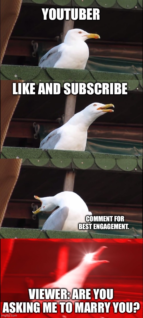 Shy proposal in a digital realm | YOUTUBER; LIKE AND SUBSCRIBE; COMMENT FOR BEST ENGAGEMENT. VIEWER: ARE YOU ASKING ME TO MARRY YOU? | image tagged in memes,inhaling seagull | made w/ Imgflip meme maker